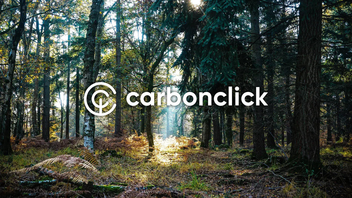 CarbonClick logo on a forest scene promoting sustainable practices and carbon offsets.