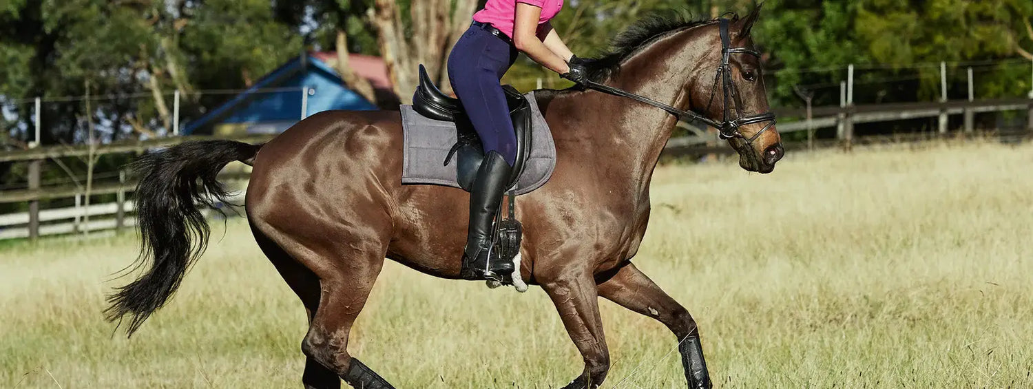 Brown horse being ridden in a field showcasing WeatherBeeta quality and comfort.