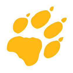 Yellow paw print silhouette from the Jack Wolfskin country clothing collection.