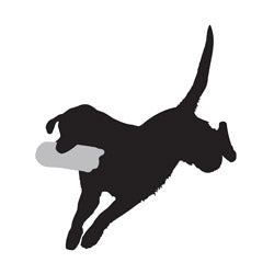 Silhouette of a dog leaping with a frisbee, showcasing a Sporting Saint in action.