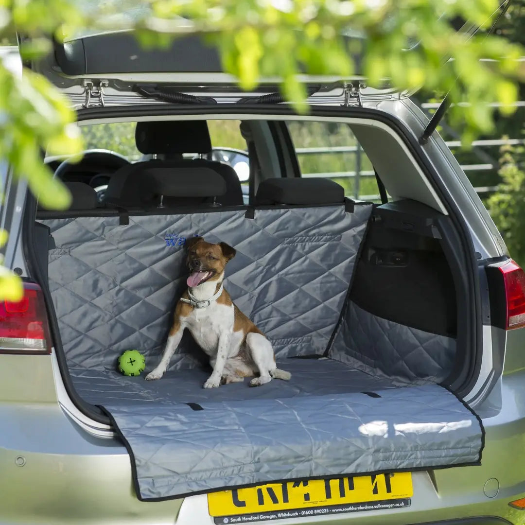 Dog chilling in a car with Henry Wag Car Boot’n’Bumper Protector for active lifestyle