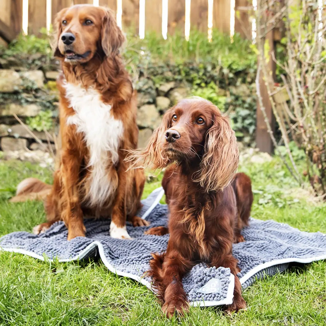 Two dogs relaxing on a luxurious microfibre pet noodle mat in a garden