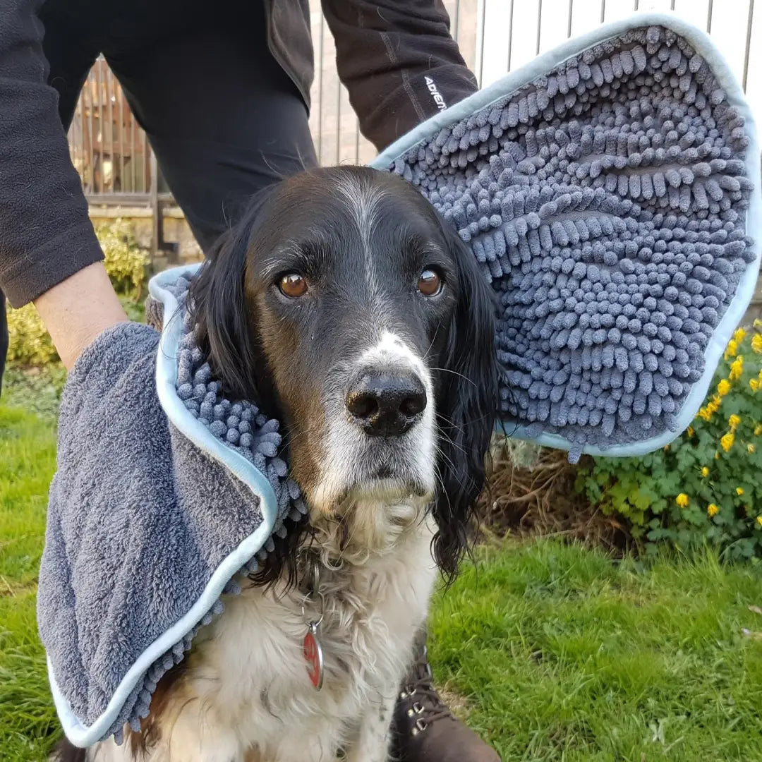 Black and white dog in a gray microfiber Noodle Glove Towel on its head