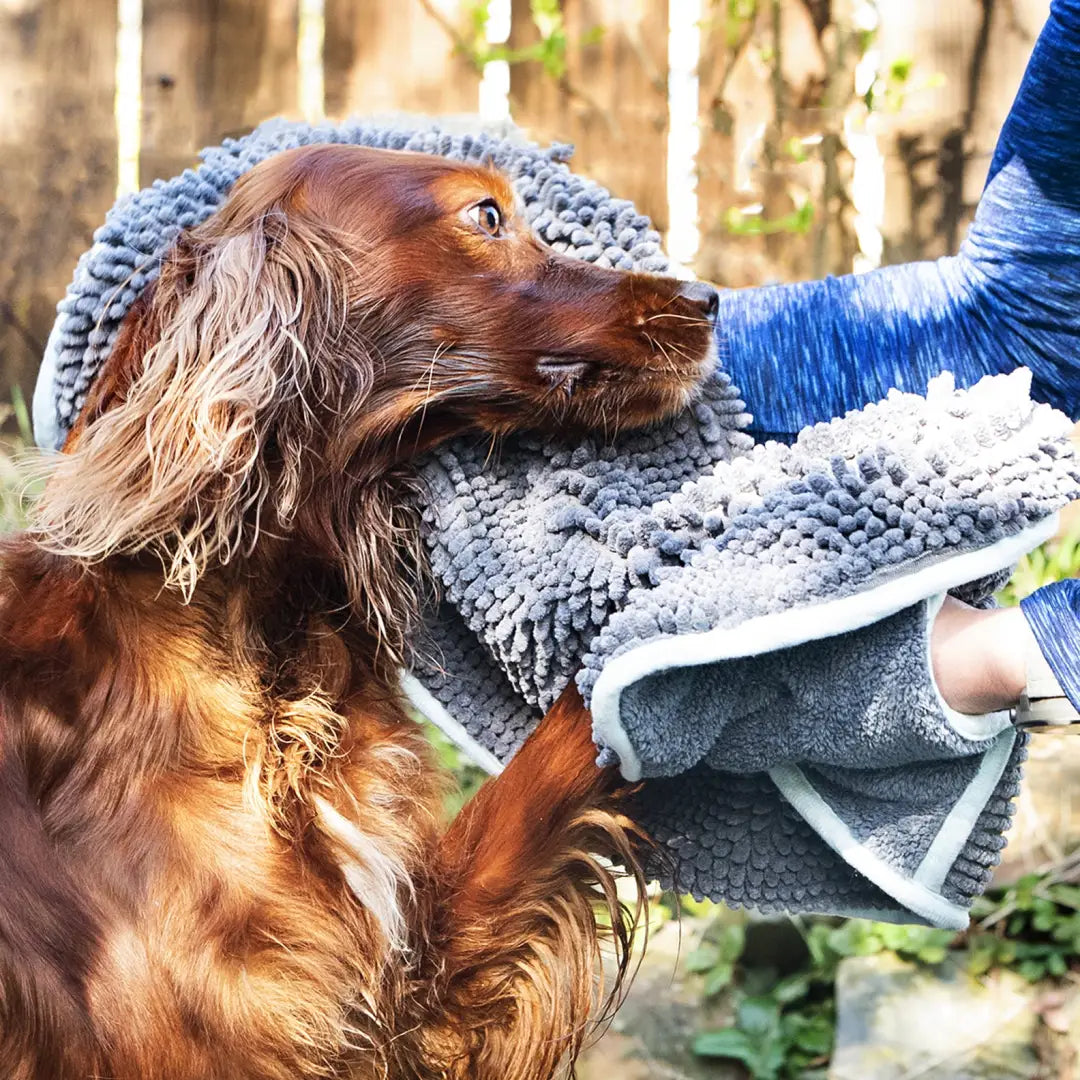 Long-haired brown dog in a gray knit hat with the Henry Wag Noodle Glove Towel