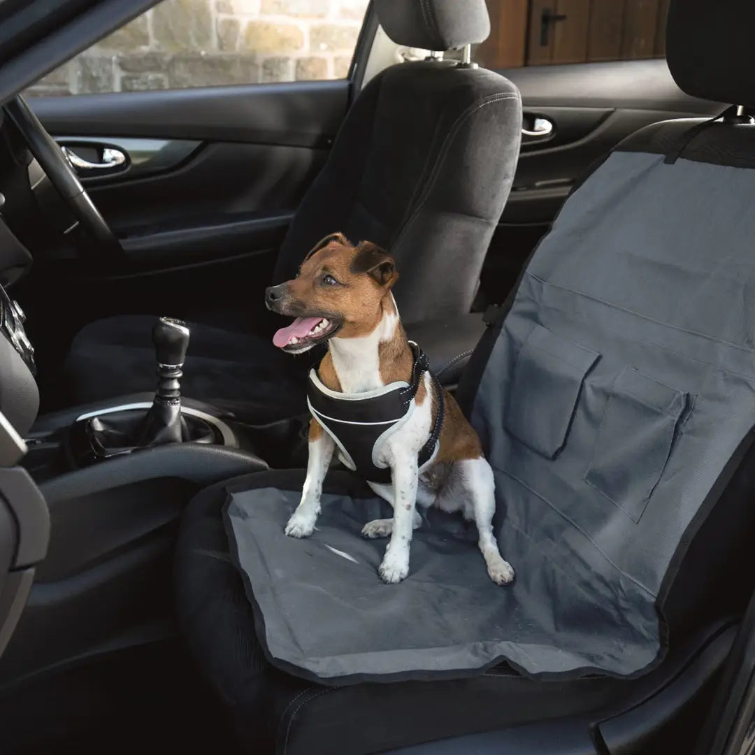 Dog relaxing on Henry Wag Single Car Seat Protector in a car’s front passenger seat