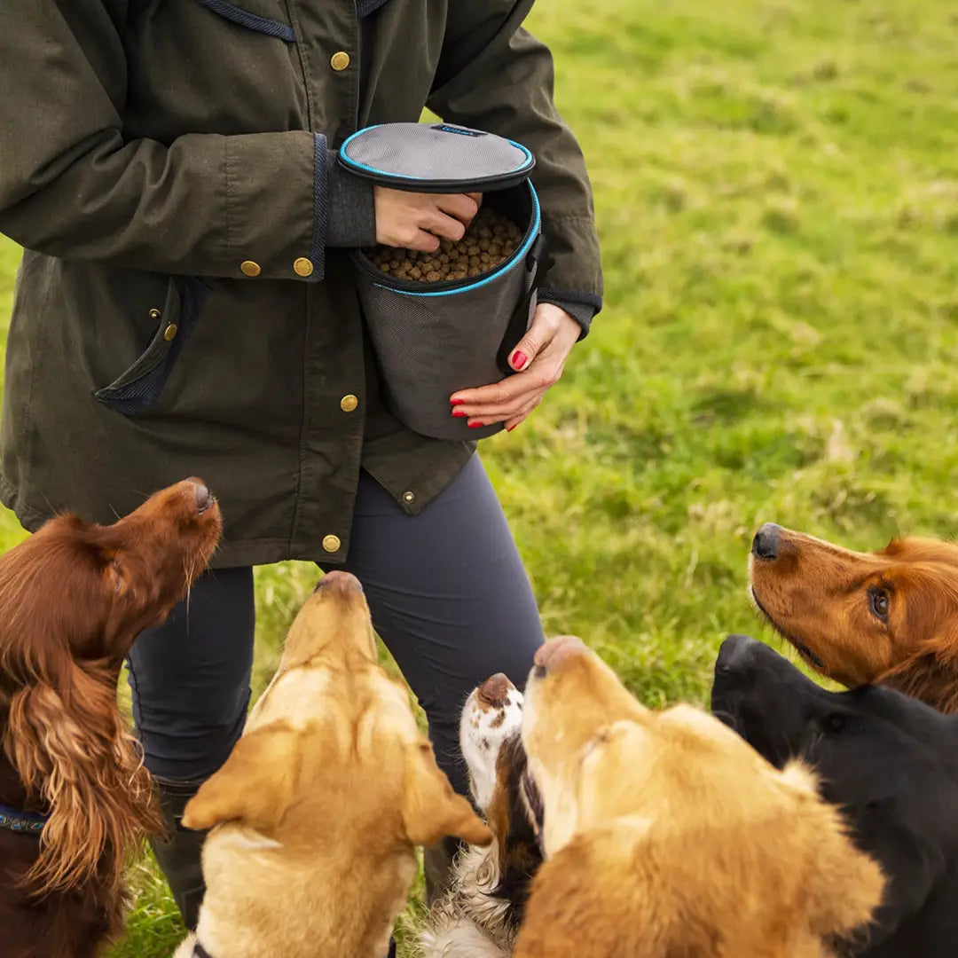 Group of excited dogs gazing at a person with a Henry Wag Snack Pack full of treats