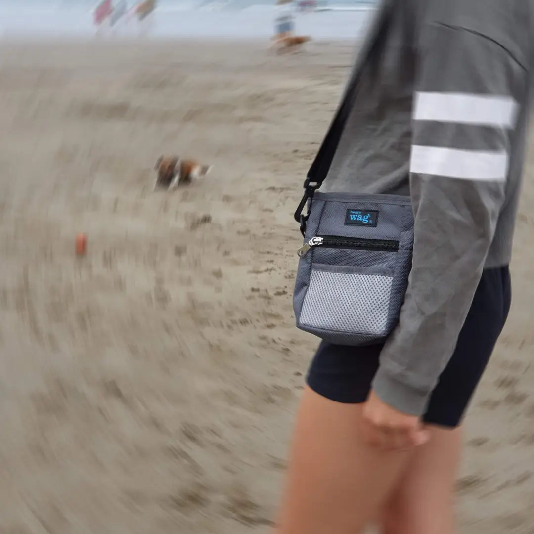 Henry Wag Treat Travel Bag in gray and blue, perfect for beach adventures