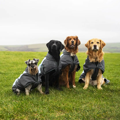 Four dogs in matching gray jackets enjoying the grass with Henry Wag Waterproof Dog Coat