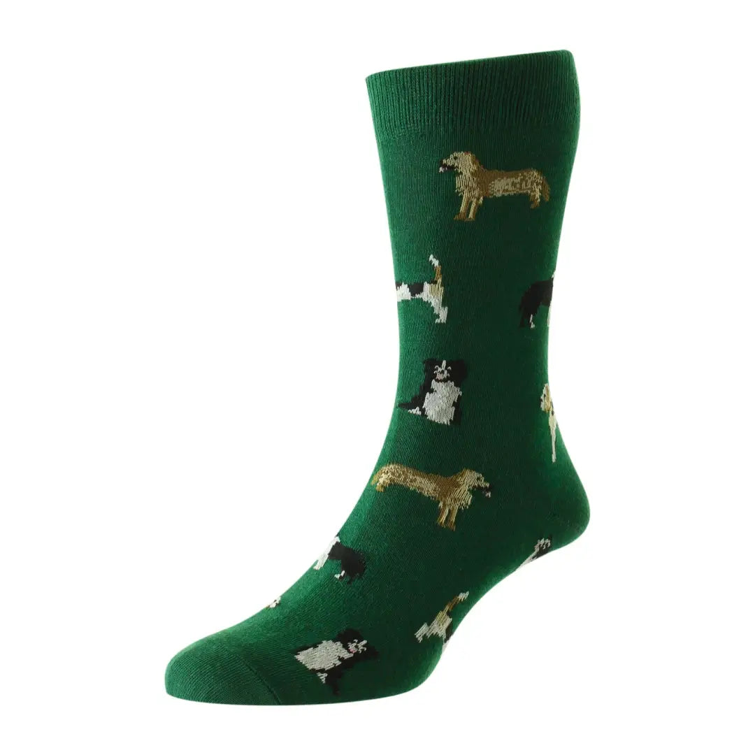 Green cotton rich socks featuring cute dog breed patterns by HJ Hall