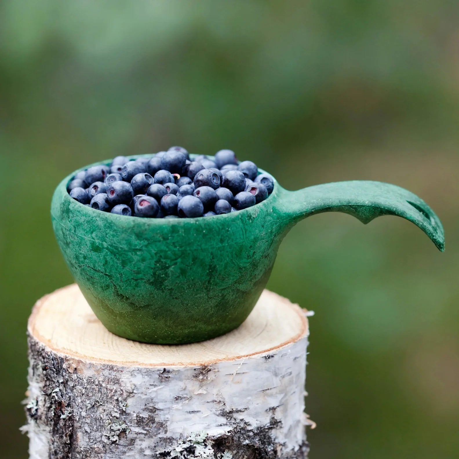 Blueberries in a green scoop using Kupilka Classic Cup, perfect for outdoor adventures