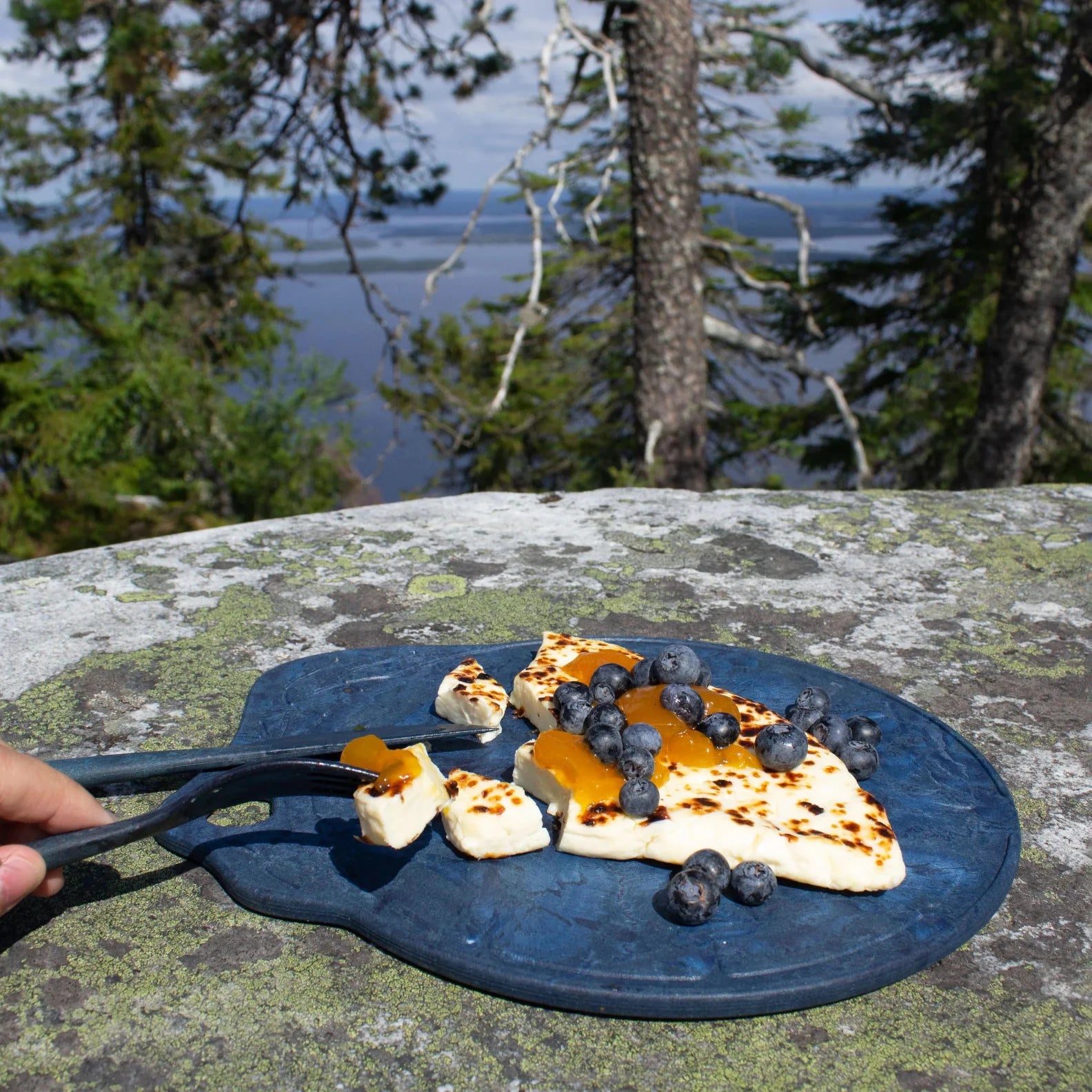 Grilled cheese with blueberries on Kupilka Kaarna Medium Serving Tray for fun country dining