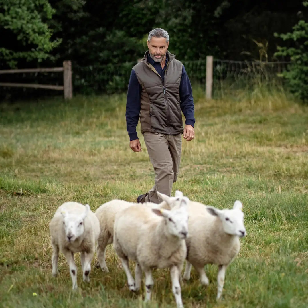 Man walking with sheep in a grassy field wearing a Forest Grouse Padded Gilet for added warmth