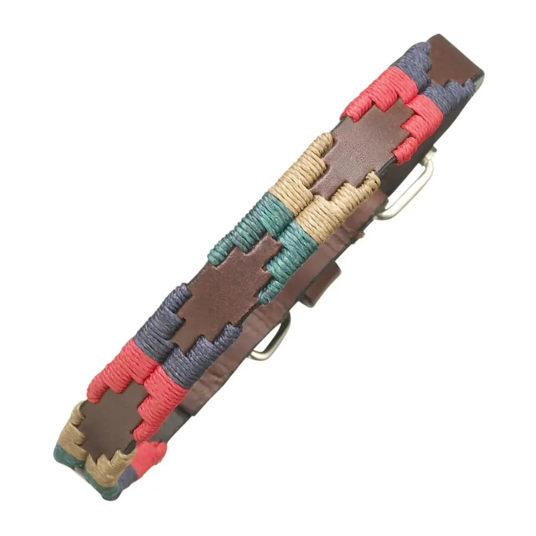 Colorful woven leather dog collar with metal buckle from Pampeano Navidad Leather line