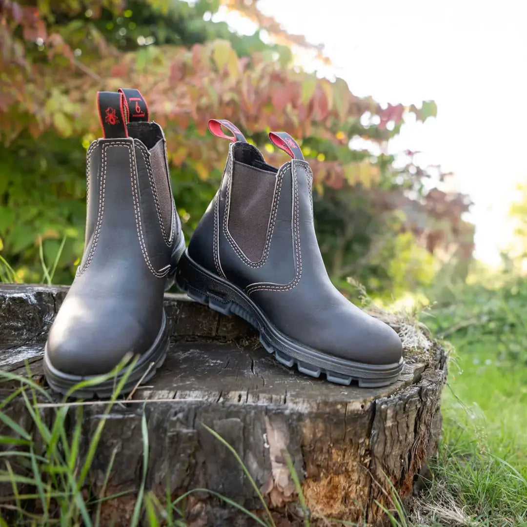 Pair of black leather Chelsea boots on a tree stump, featuring Redback Boot Wax