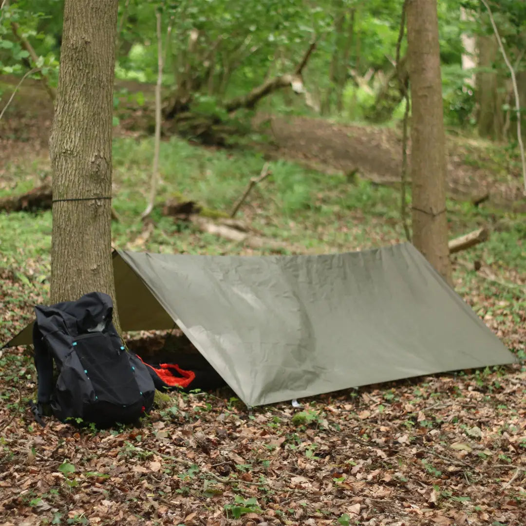 Simple tarp shelter using Snugpak Stasha for wild camping in a forest setting