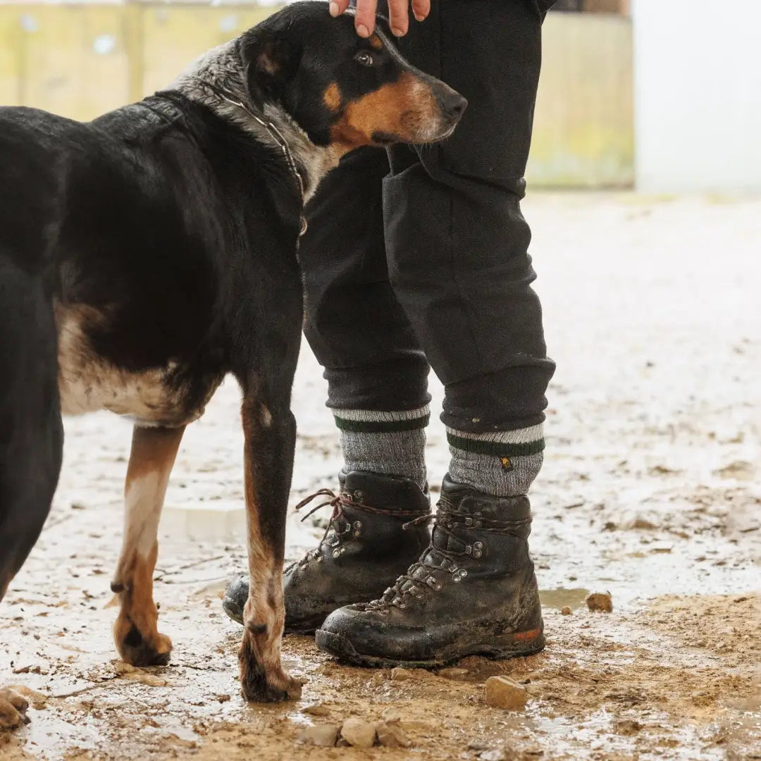 Dog by hiker in Swazi Original Farm Socks, perfect for country clothing and hunting